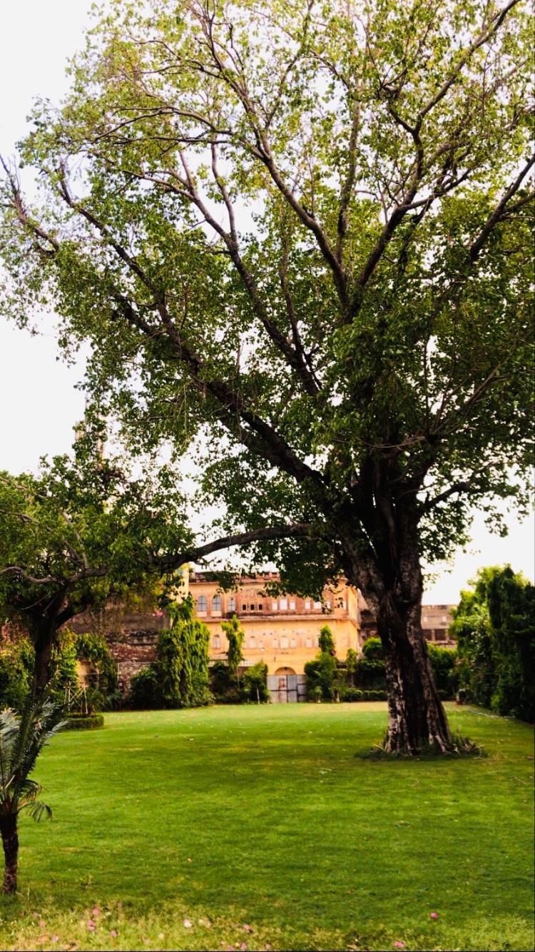 Saba Haveli Hotel Jaipur Eksteriør billede